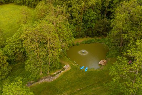 Aerial view of a wooded clearing with a campfire pit surrounded by tall trees