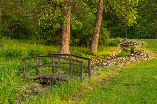 Small wooden footbridge over a garden stream bordered by trees and stacked stone