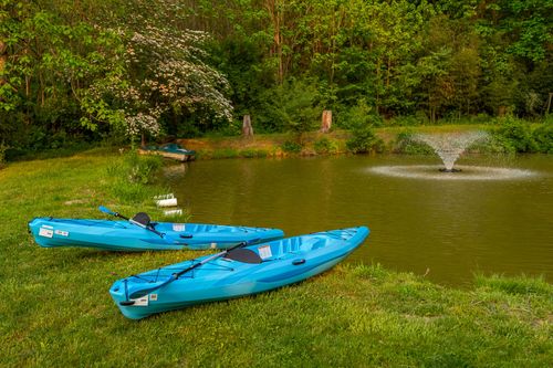 Two blue kayaks resting on the grass beside a pond with a flowering dogwood tree