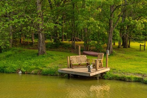 Wooden dock with a bench overlooking a still pond surrounded by trees