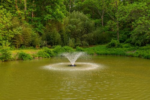 Fountain spraying in the center of a wooded pond