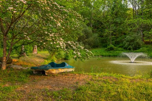 Weathered paddle boat resting under a blooming tree beside a pond with a fountain
