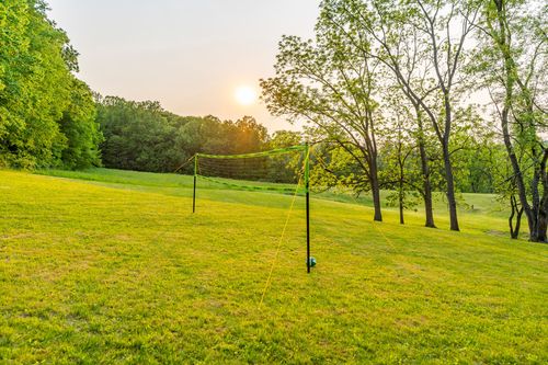 Volleyball net on a grassy field beneath tall trees at sunset