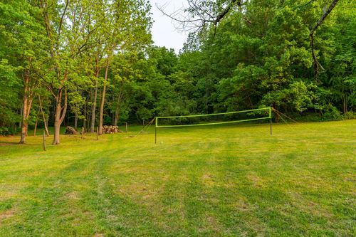 Volleyball net on the lawn near a stacked woodpile at the edge of the woods