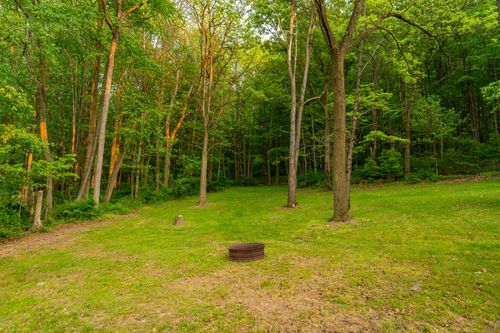 Wooded clearing with a stone fire ring surrounded by tall trees