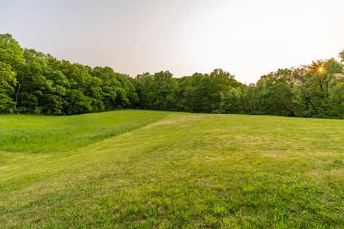 Open grassy field bordered by dense trees at sunset