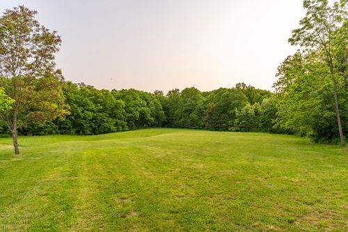 Wide open grassy field bordered by mature trees
