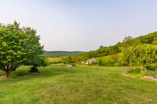 View across a green pasture toward rolling mountains at dusk