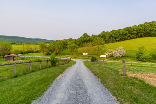 Gravel driveway winding through a pasture with a grazing horse and mountain views