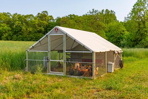 Mobile chicken coop with a canvas roof housing free-range hens in a meadow
