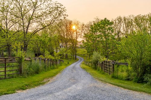 Tree-lined gravel driveway winding toward a farmhouse at sunset