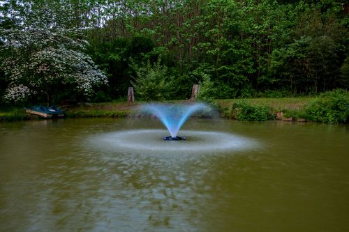 Illuminated fountain spraying in a pond at dusk beside a flowering dogwood