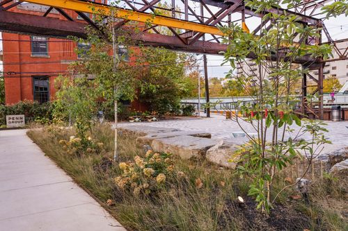 Planting bed of ornamental grasses and hydrangeas beside a brick building