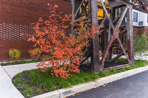 Close-up of red autumn foliage against a brick wall and riveted steel trestle