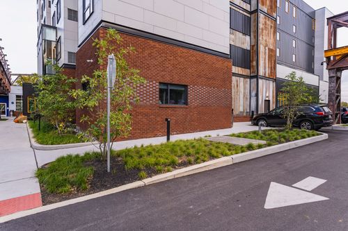 Brick building corner with an ornamental grass landscaping bed