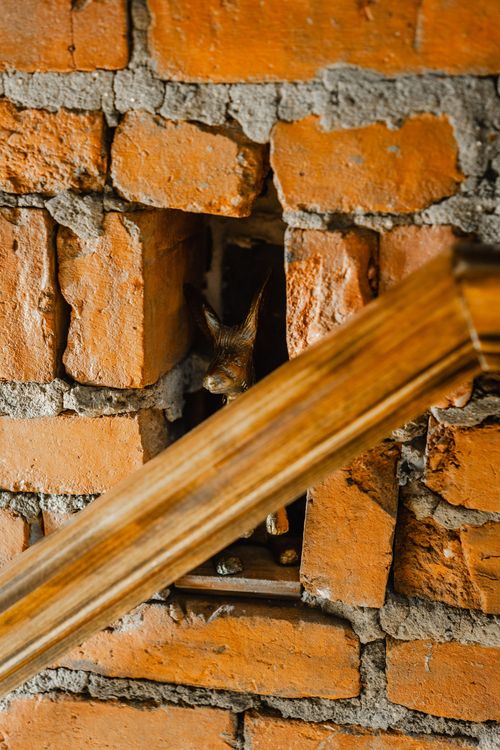 Overhead view down a wood staircase framed by exposed brick