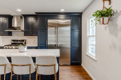 Navy kitchen island seating with a hanging plant near a sunlit window