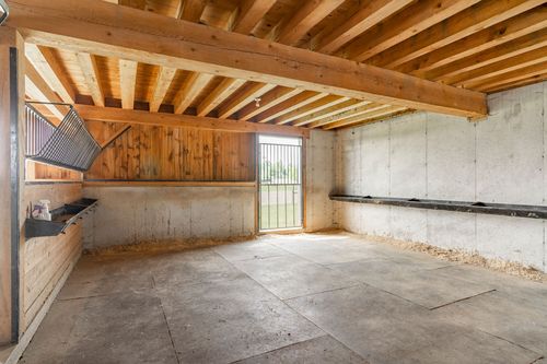 Barn wash room with concrete walls and an exposed timber ceiling