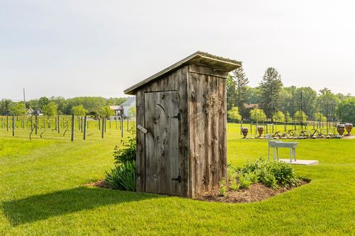 Rustic wood outhouse-style shed beside a vineyard trellis