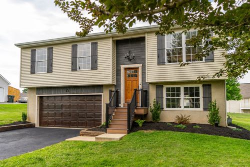 Split-level home exterior framed by a mature shade tree