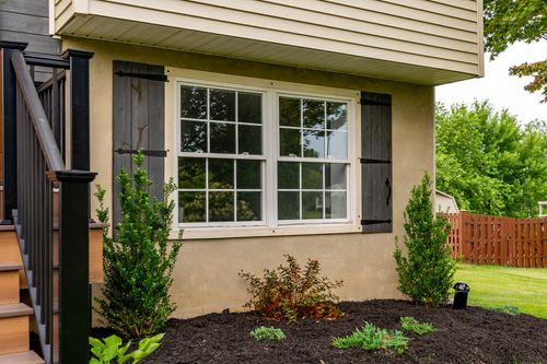 Close view of a shuttered window flanked by small evergreen shrubs