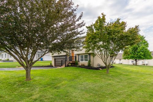 Front yard framed by two mature shade trees