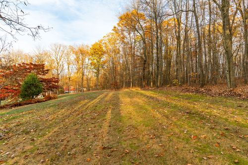 Open grass field bordered by a line of tall bare and golden trees