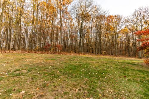 Grassy clearing framed by autumn trees in shades of orange and gold