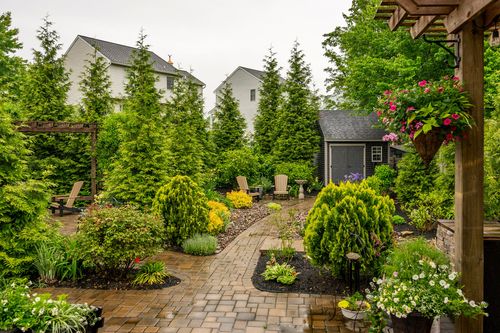 Paver garden path winding past an arbor, a storage shed, and manicured evergreens