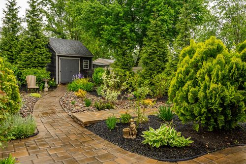 Curved paver path through landscaped garden beds with hostas and manicured evergreens