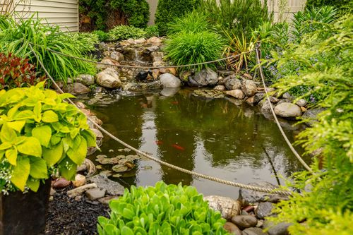 Koi pond with a small rock waterfall surrounded by lush garden plantings